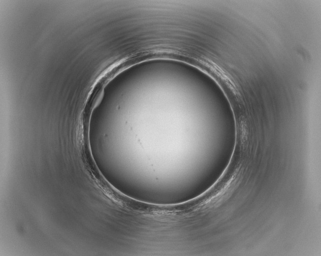 X0000116590782200912101538