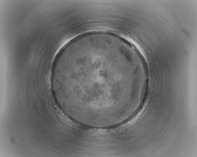 X0000116590783200912101538