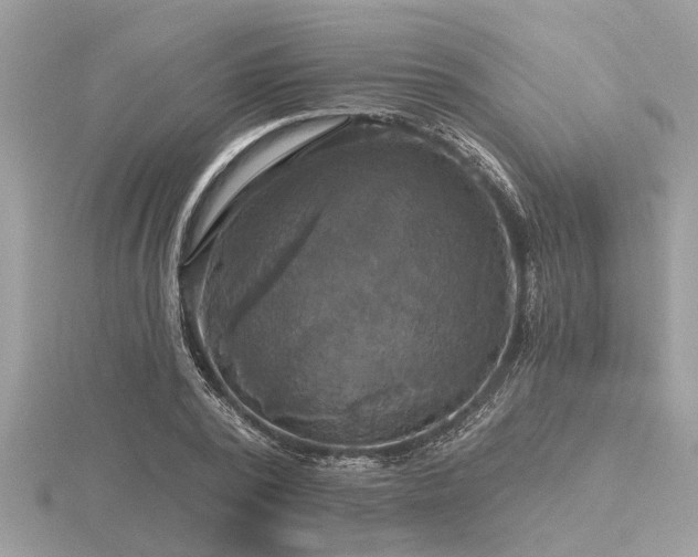 X0000116590784200912101538