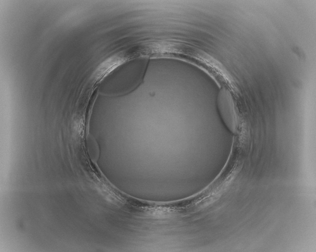 X0000116590785200912101538