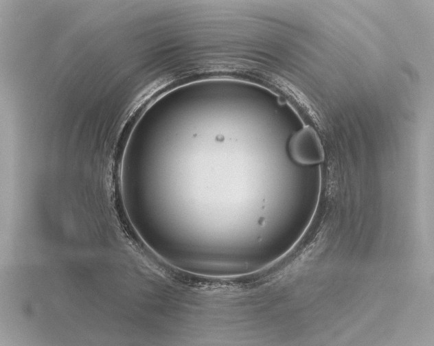 X0000116590786200912101538