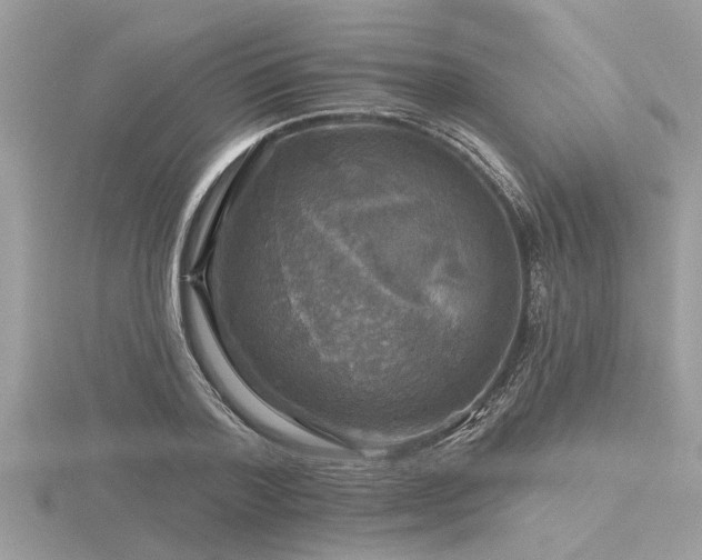 X0000116590788200912101538