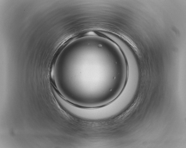 X0000116590793200912101538