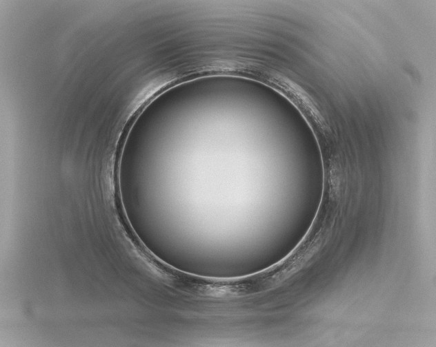 X0000116590794200912101538