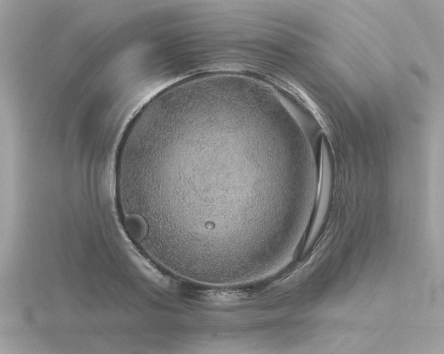 X0000116590795200912101538