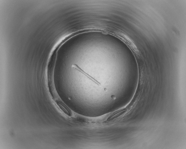 X0000116590796200912101538