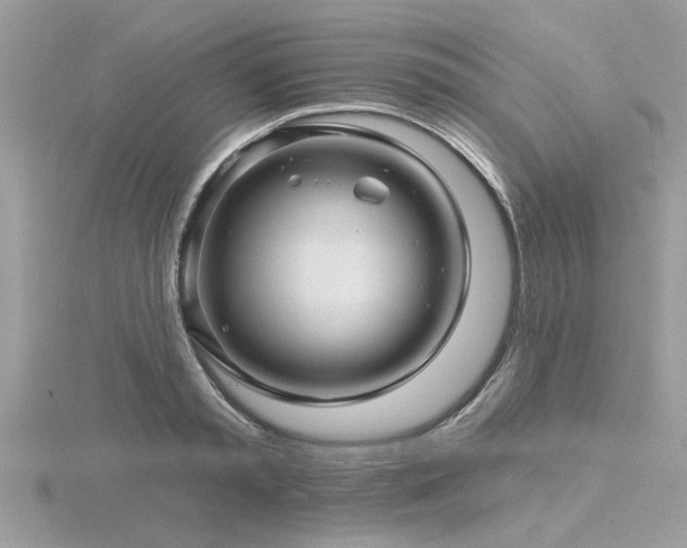 X0000116590797200912101538