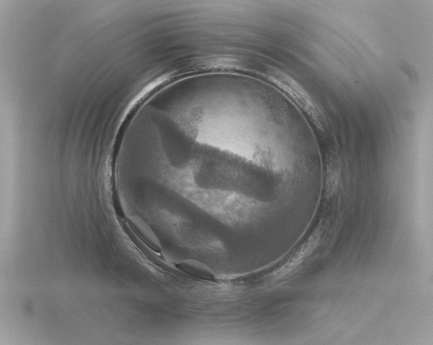 X0000116590798200912101538