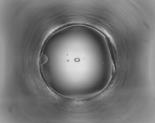 X0000116590799200912101538