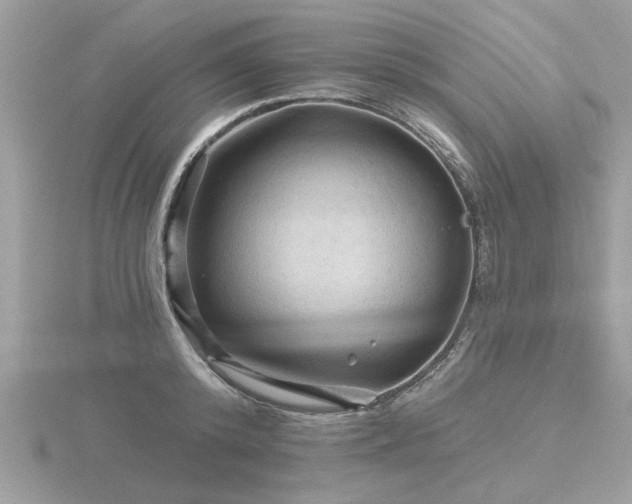 X0000116590800200912101538