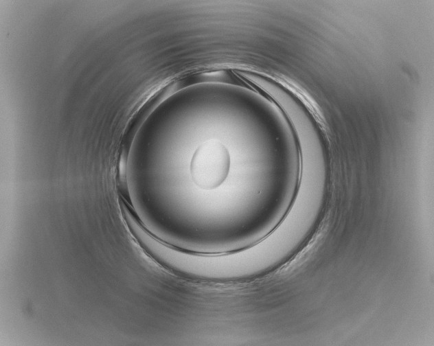 X0000116590801200912101538