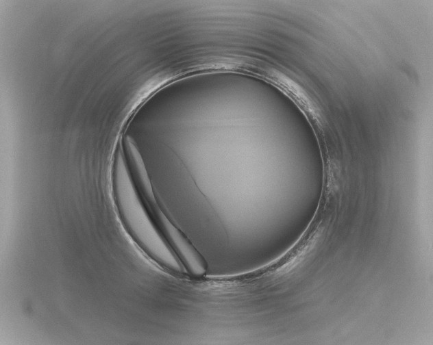 X0000116590802200912101538