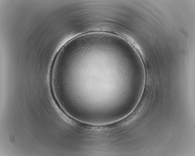 X0000116590803200912101538