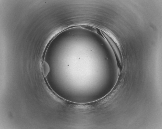 X0000116590805200912101538