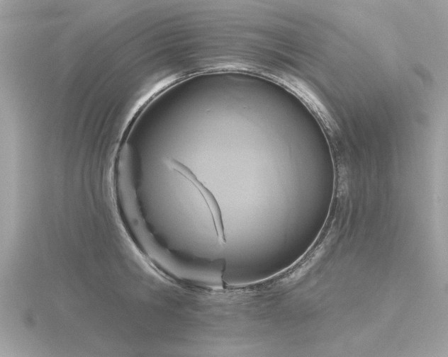 X0000116590806200912101538