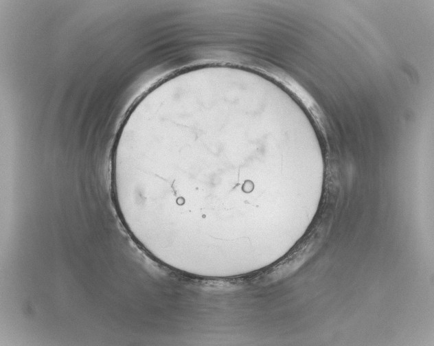 X0000116590807200912101538