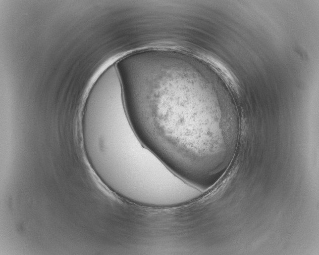 X0000116590808200912101538