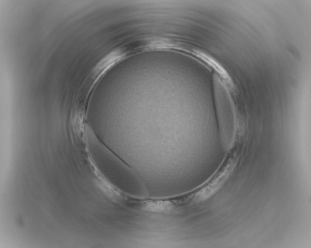 X0000116590809200912101538