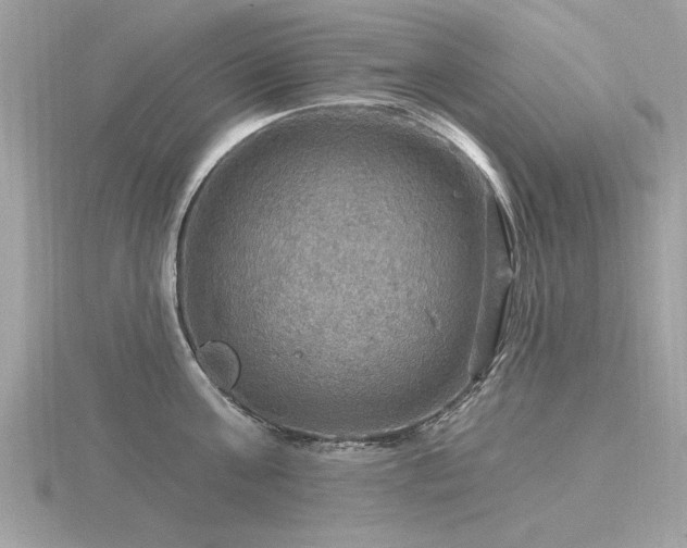 X0000116590811200912101538