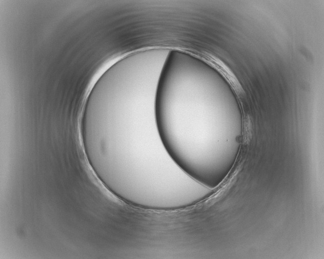 X0000116590812200912101538