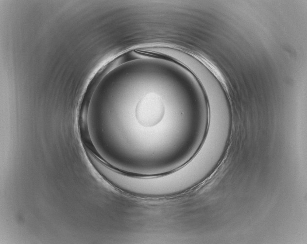 X0000116590813200912101538