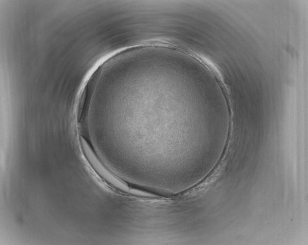 X0000116590816200912101538