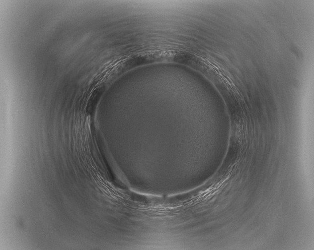 X0000116590818200912101537