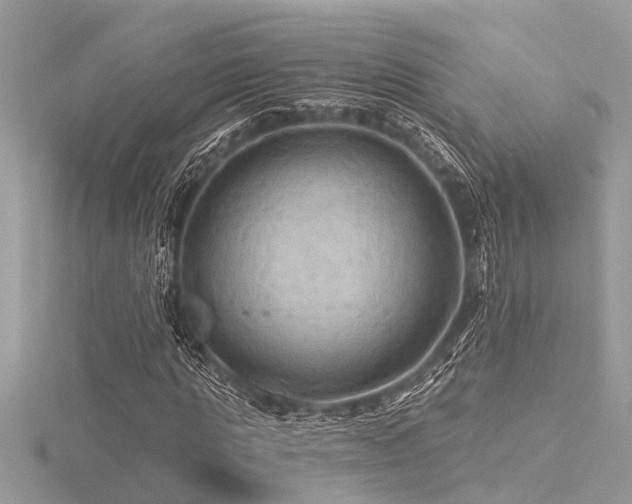 X0000116590821200912101537