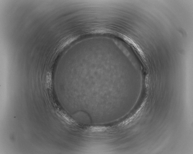 X0000116590825200912101537