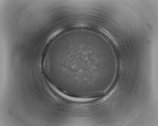 X0000116590826200912101537