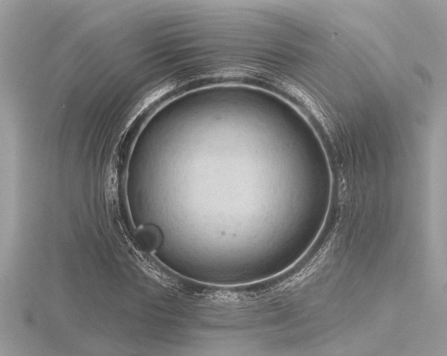 X0000116590827200912101537