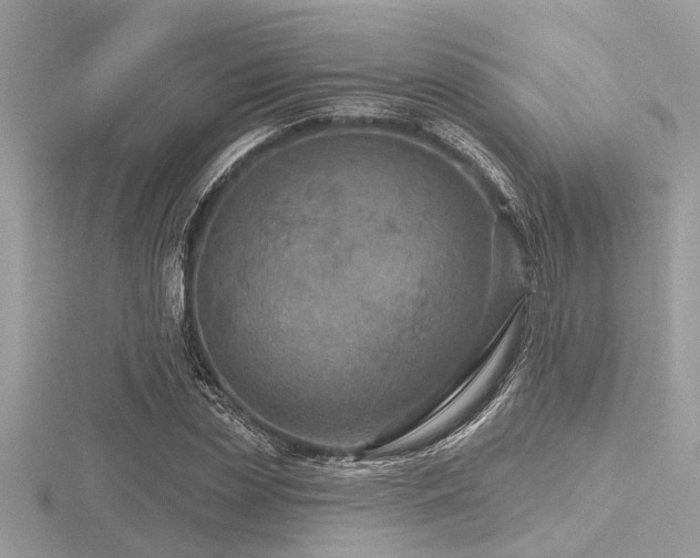 X0000116590829200912101537