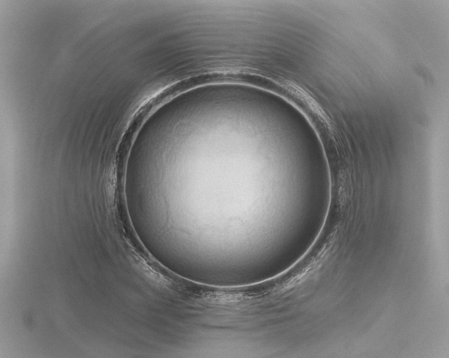 X0000116590831200912101537