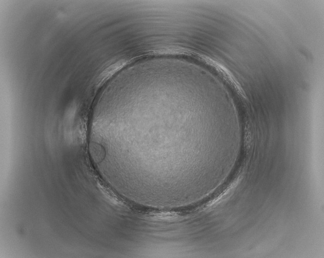 X0000116590833200912101537