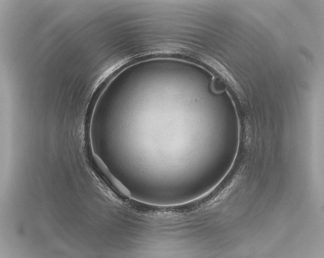 X0000116590834200912101537