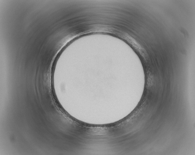 X0000116590836200912101537
