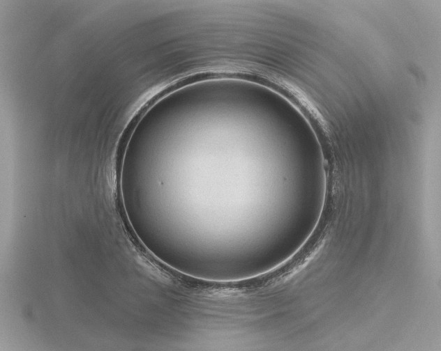 X0000116590837200912101537