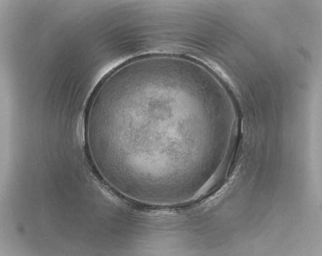 X0000116590838200912101537