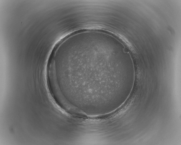 X0000116590840200912101537