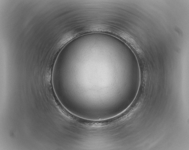 X0000116590841200912101537