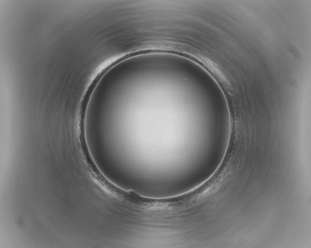 X0000116590846200912101537