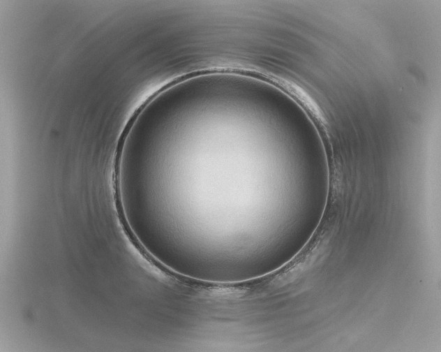 X0000116590847200912101537