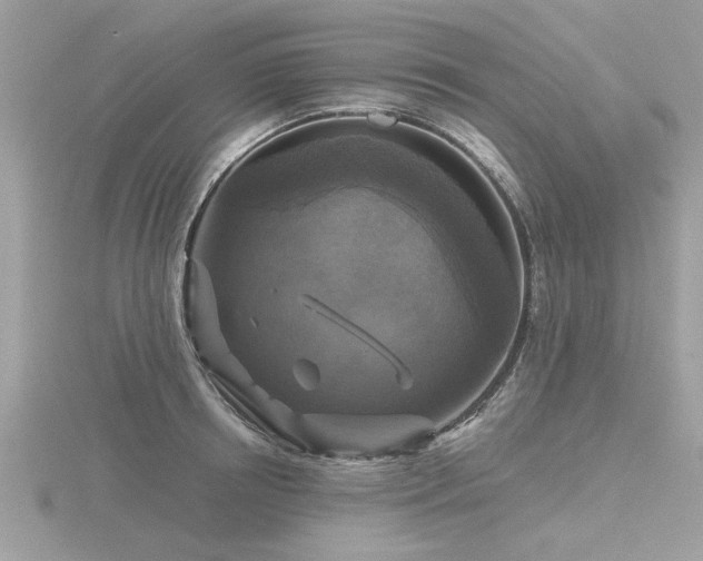 X0000116590850200912101537