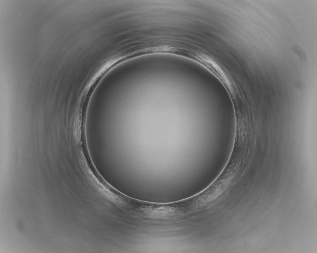 X0000116590851200912101537