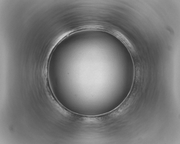 X0000116590852200912101538