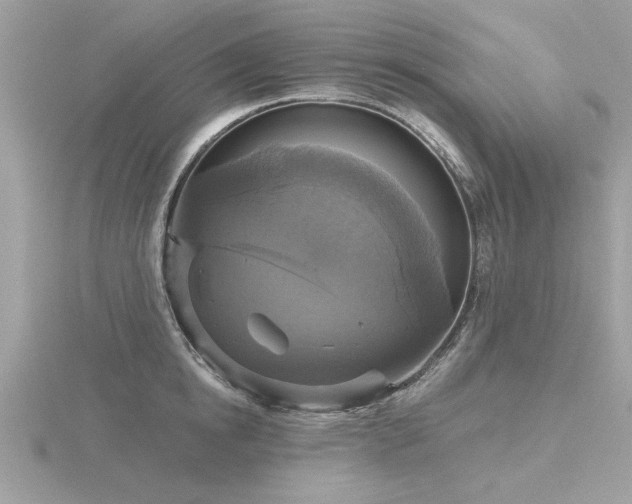 X0000116590854200912101538