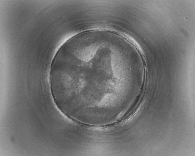 X0000116590855200912101538