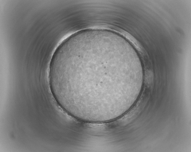 X0000116590856200912101538