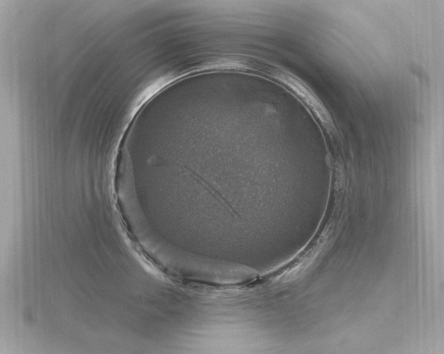 X0000116590858200912101538