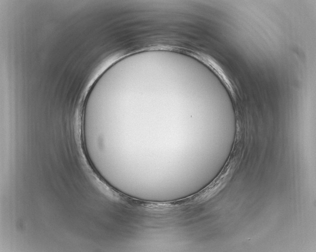 X0000116590859200912101538